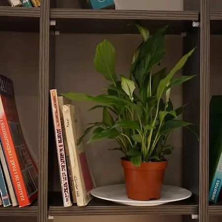 Tokaapartment ティラナ