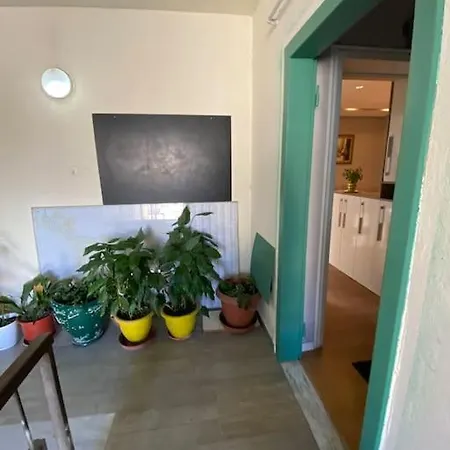 Tokaapartment アパート *