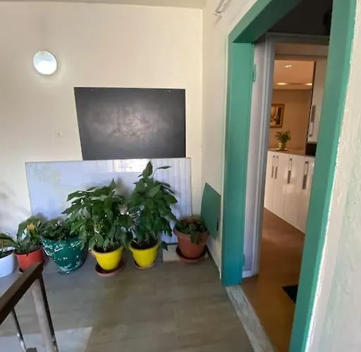 Tokaapartment شقة *